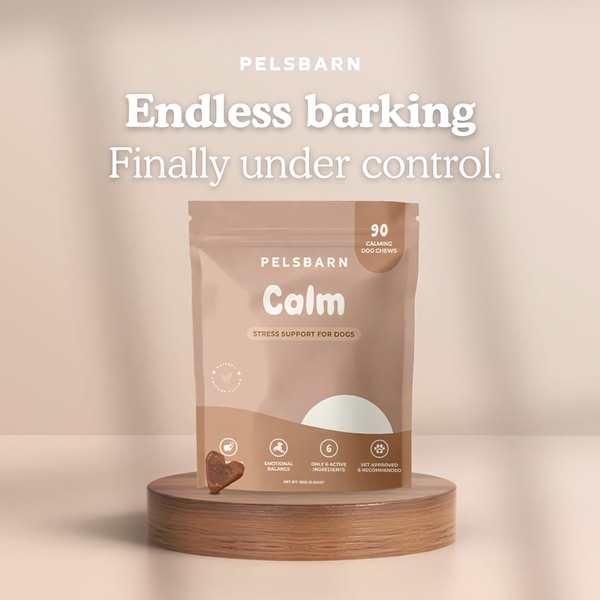 A clean, studio-lit ad creative for calming chews that uses a direct pain-point headline and product-centric composition.